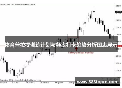 体育普拉提训练计划与频率打卡趋势分析图表展示