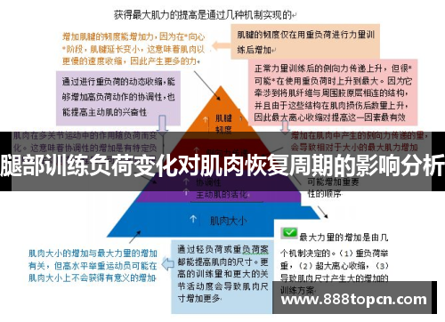 腿部训练负荷变化对肌肉恢复周期的影响分析